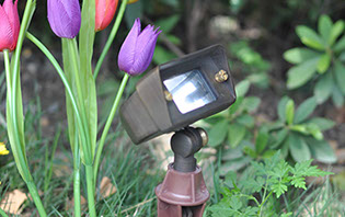 OB-2 accent light OmegaPro